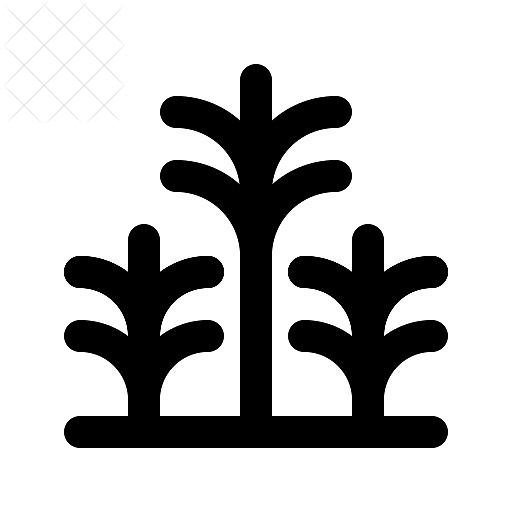 Palm, surfing, tree icon.