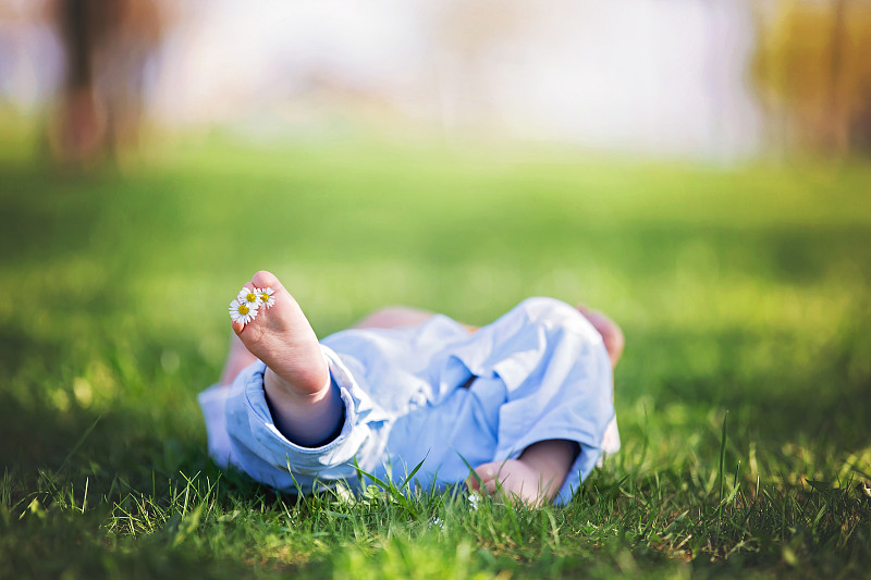 可爱的蹒跚学步的小男孩，在樱花园里玩耍。孩子w图片下载