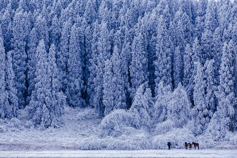 重慶仙女山雪景圖片素材