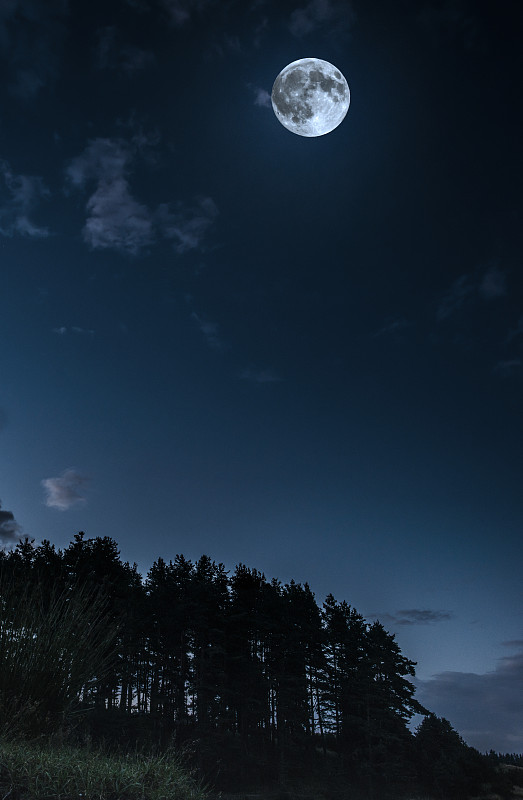 月亮和云在夜晚月光在森林復印水療中心圖片素材
