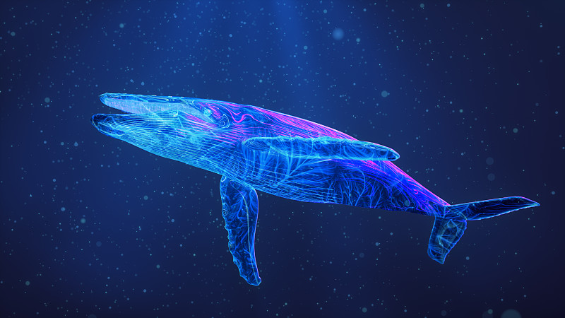 發光的藍鯨在平靜的藍色海洋中潛水圖片素材