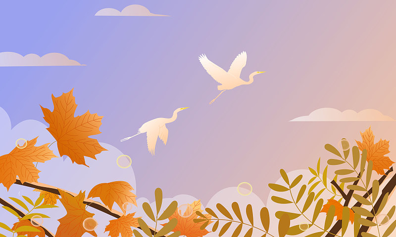 秋葉白鷺秋景節氣矢量插畫橫版圖片