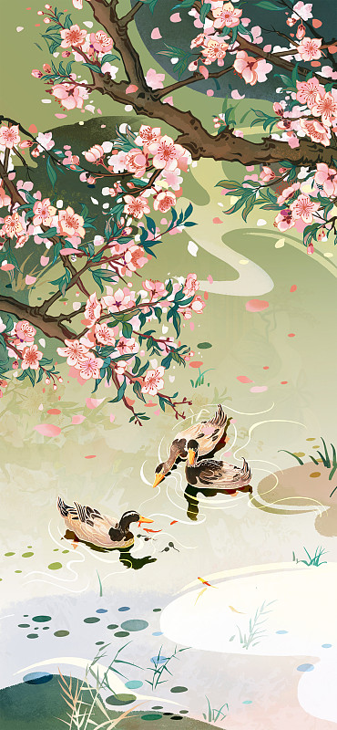 春天水面上的桃花和鴨子圖片素材