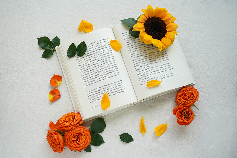 玫瑰向日葵和书的高角度俯拍图片下载