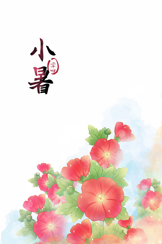 小暑——蜀葵，古風水彩二十四節氣系列唯美花卉插畫圖片