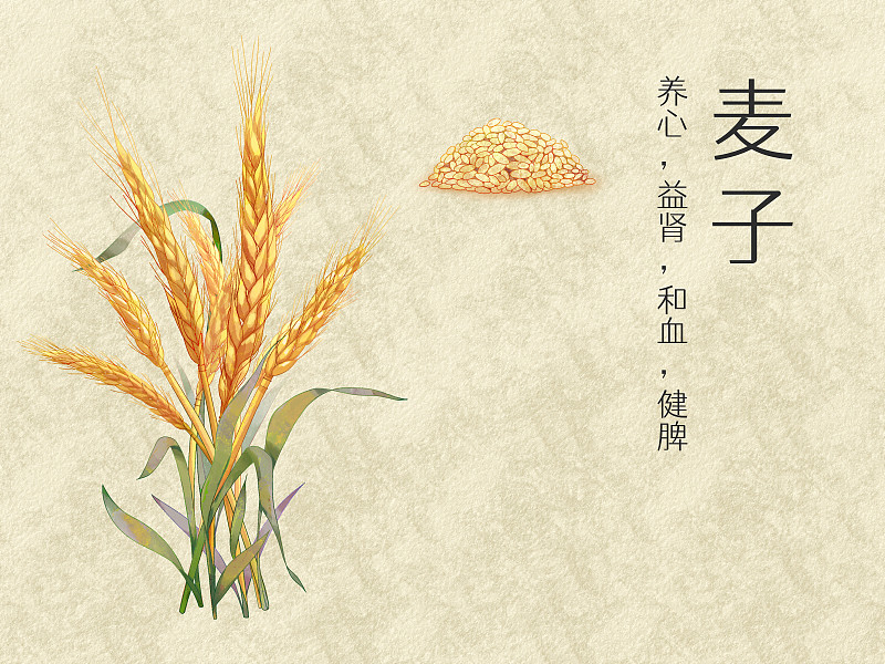 手繪水彩農產品麥子插畫圖片