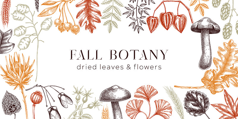 秋天的背景是落葉和干插畫圖片