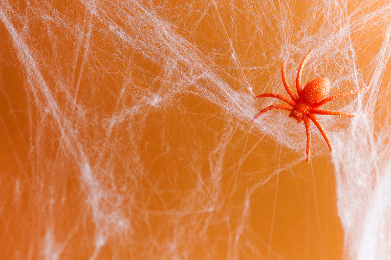 萬圣節背景由白色蜘蛛網和橙色閃閃發光的蜘蛛在橙色。節日裝飾的概念?？植篮涂植赖谋尘芭c復制空間為您的設計攝影圖片