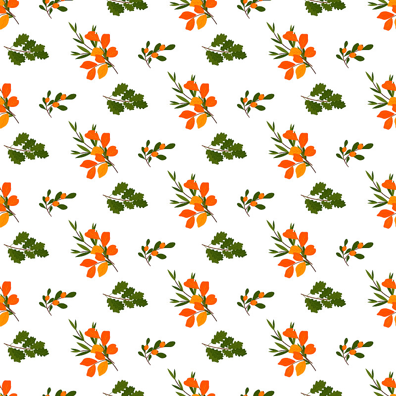 白色背景上的秋葉花束圖案。沙棘漿果。向量。插畫圖片