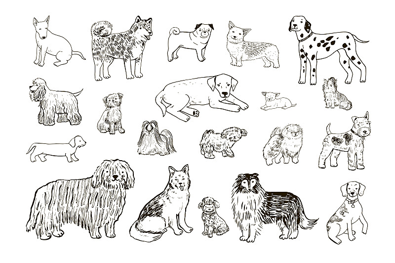 狗的寵物品種矢量線插圖集。插畫圖片
