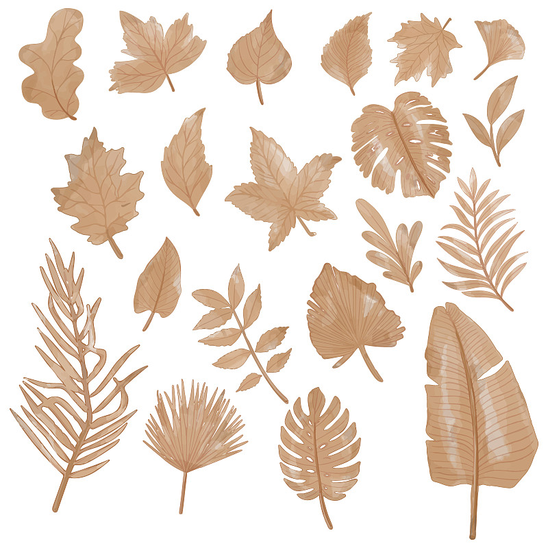 一套水彩干葉，樹枝剪貼畫插畫圖片