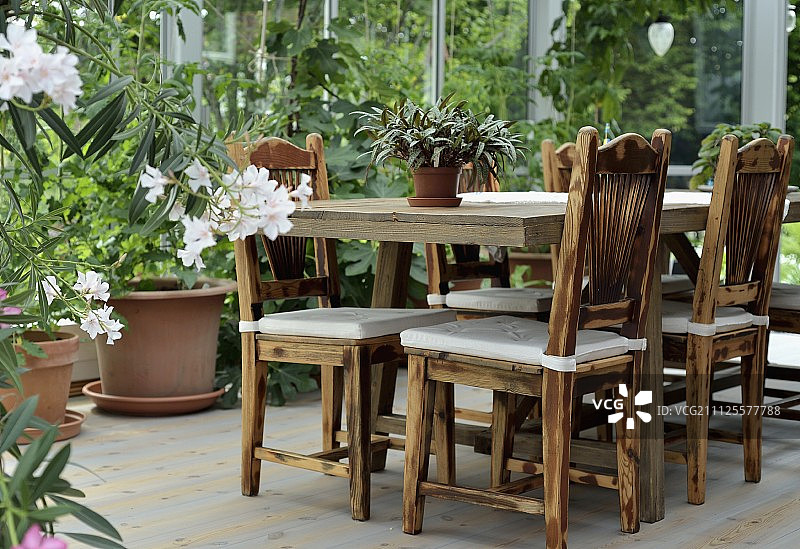 温室中环绕着盆栽植物的实木桌椅图片素材