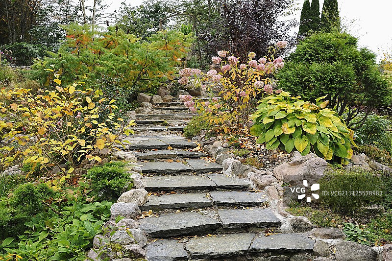弯曲的浅石阶通向秋季花园植物之间图片素材