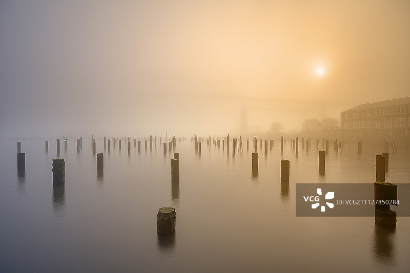 河边有雾的早晨图片素材