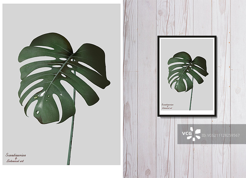 室内设计与植物艺术图片素材