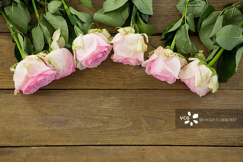 特写的粉红色玫瑰安排在木板上图片素材