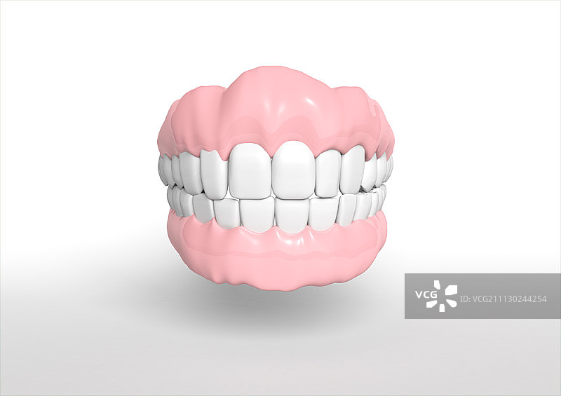 人类牙龈图片素材