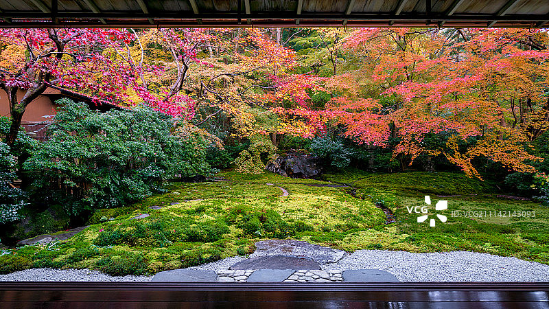 秋季的日式庭院图片素材