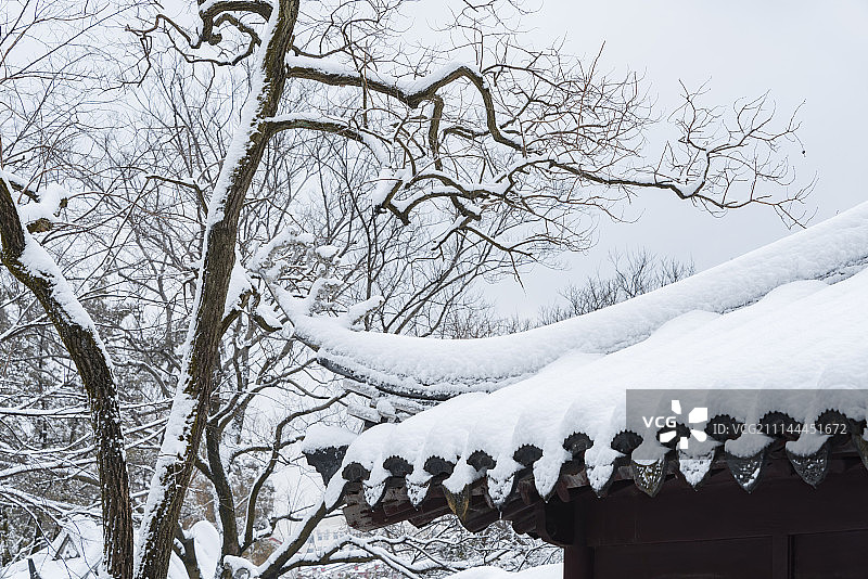 苏州耦园雪景风光图片素材