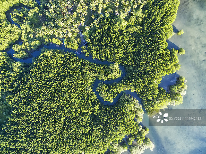 东南亚红树林湿地航拍高清图图片素材