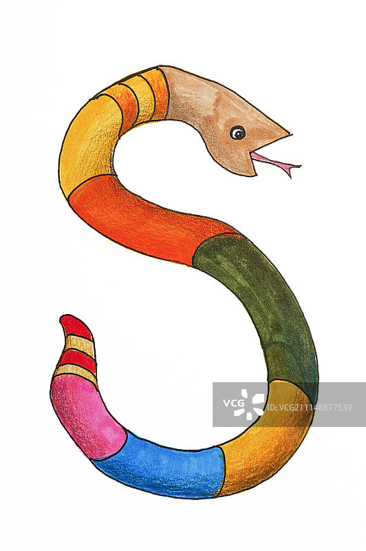 蛇,英文字母S图片素材