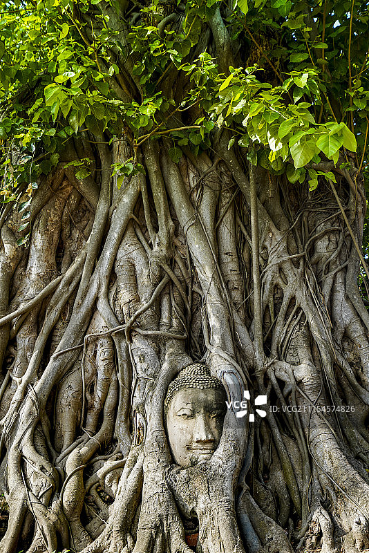 泰国大城Wat Phra Mahathat图片素材