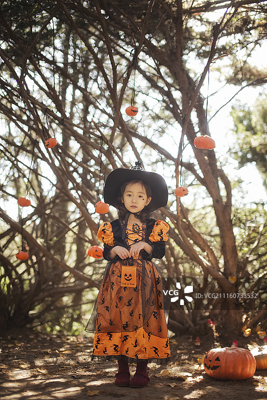 摄影的小女孩与万圣节的帽子和服装站在树与万圣节南瓜装饰图片素材