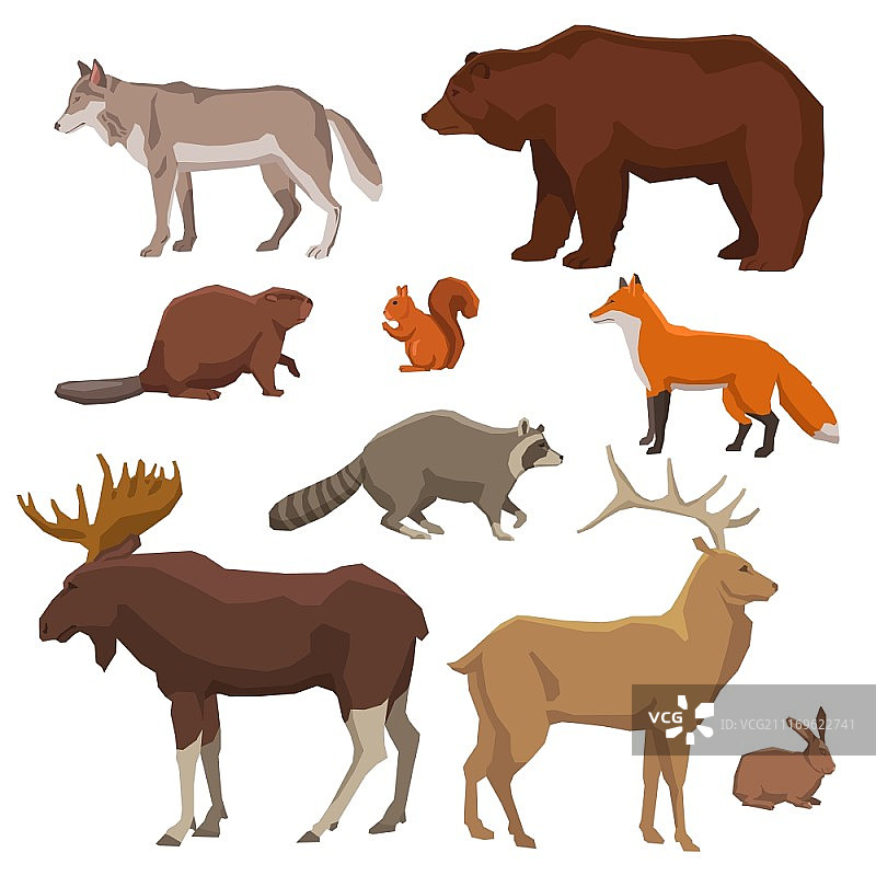 野生动物绘制图标集。野生森林动物熊，狼，狐狸，麋鹿，兔子和海狸绘制颜色图标设置孤立的矢量插图图片素材