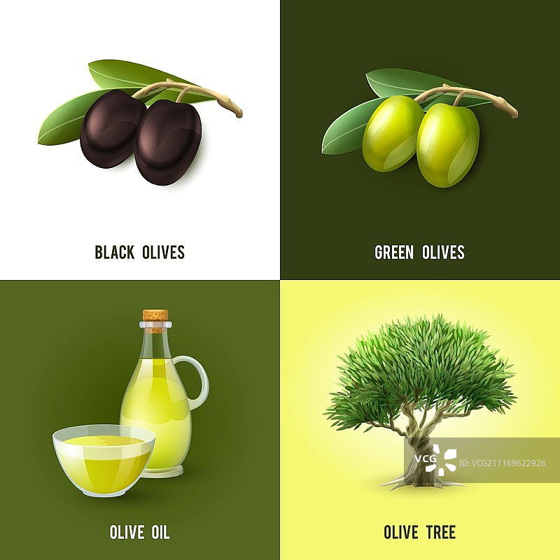 橄榄设计概念集与黑色和绿色橄榄油和树图标孤立矢量插图。橄榄设计理念图片素材