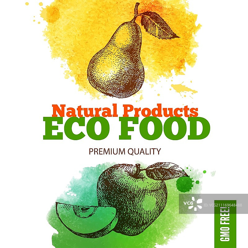 生态食物菜单背景。水彩和手绘水果素描。矢量图图片素材