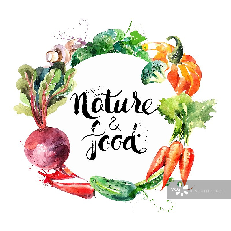 生态食物菜单背景。水彩手绘蔬菜。矢量图图片素材
