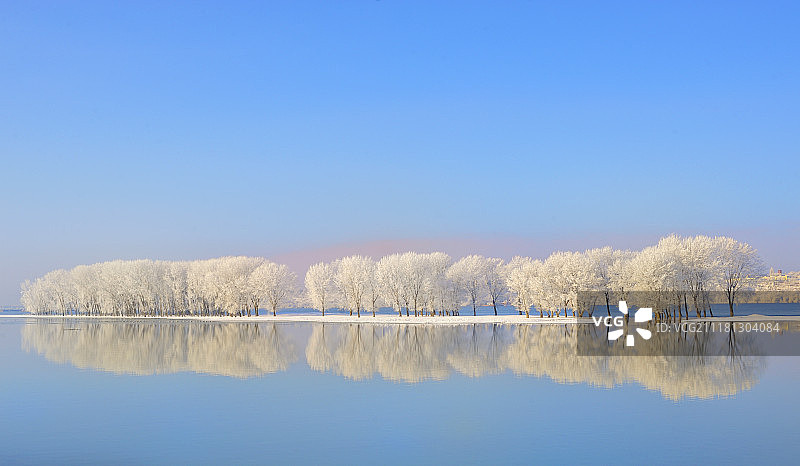 冬天树上覆盖着霜冻的反光图片素材