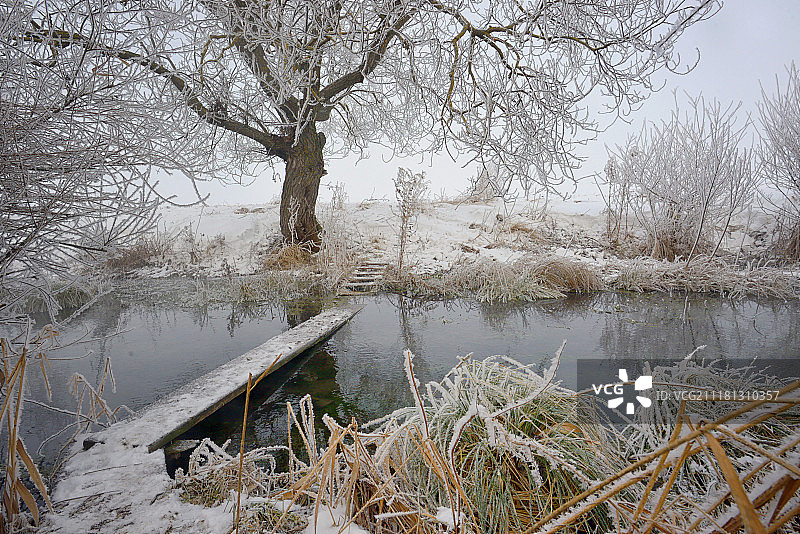 冬天结霜的树木和乡村河上的人行桥图片素材