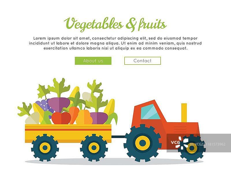 蔬菜水果农场概念横幅。平面设计。将新鲜产品从农场运送到市场。带拖车的拖拉机携带果岭。模板农场，商店，运输公司网页。蔬菜水果概念矢量网横幅。图片素材