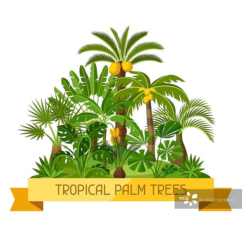 卡片上有热带棕榈树。奇异的热带植物，丛林自然的插图。卡片上有热带棕榈树。奇异的热带植物，丛林自然的插图。图片素材
