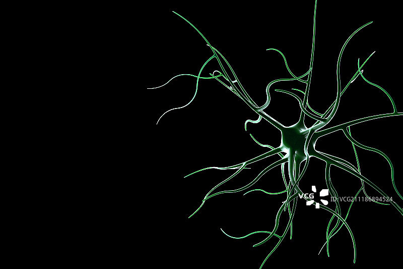3D神经细胞图片素材
