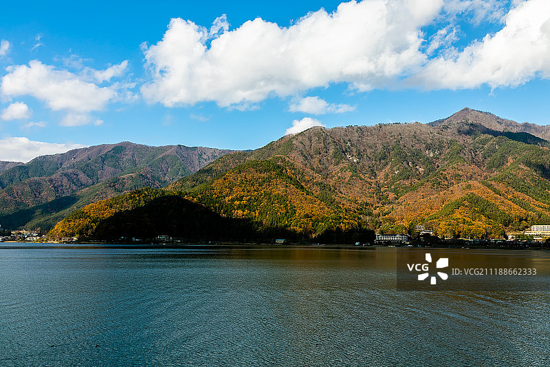 秋川口湖山坡上五颜六色的秋叶图片素材