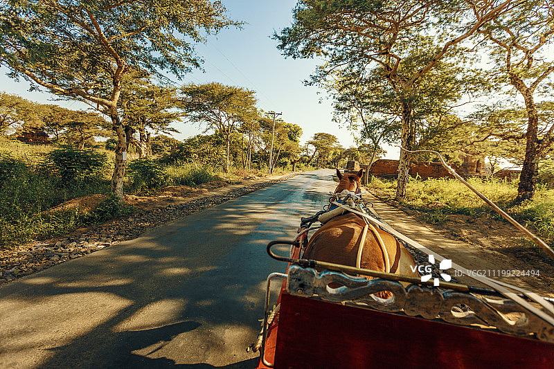 缅甸蒲甘骑马车佛塔观光图片素材