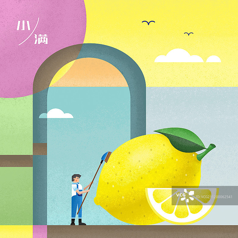 24节气果蔬系列小满柠檬图片素材