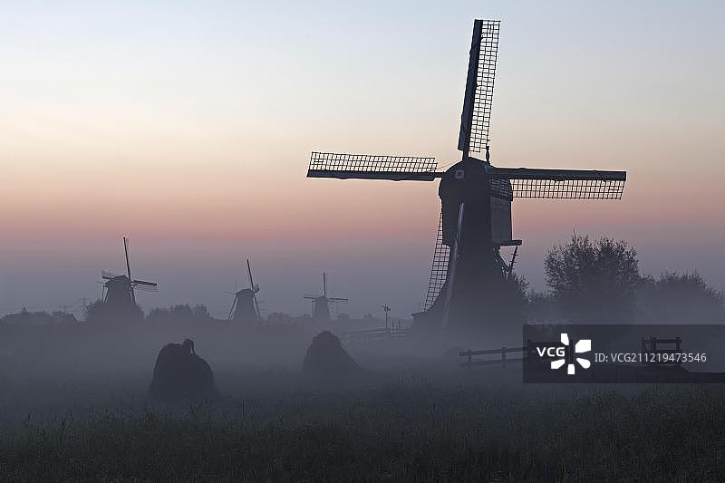 历史上的风车在清晨的雾中，联合国教科文组织世界遗产，金德迪克，南荷兰省，荷兰图片素材