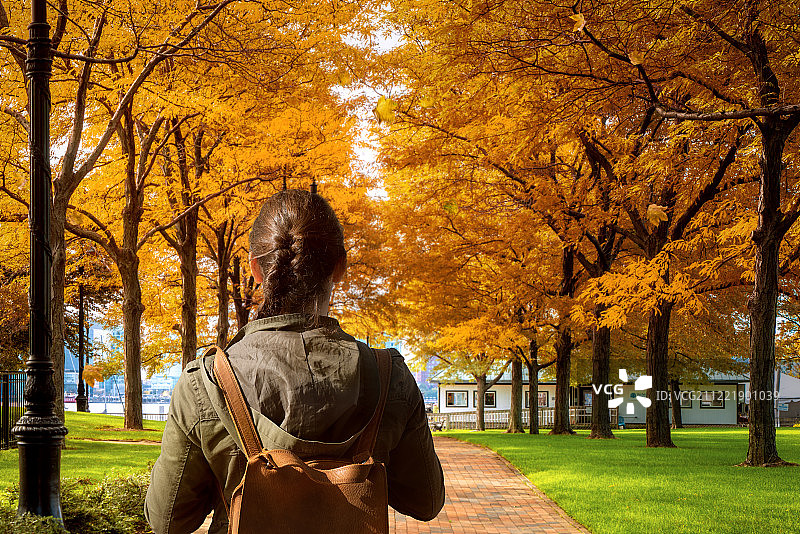女士旅行者漫步在波士顿的秋天公园图片素材