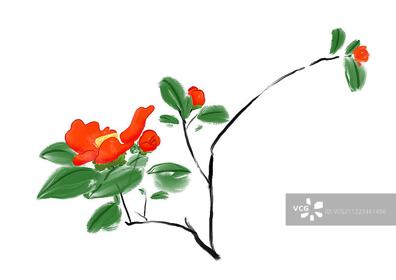 中国传统水墨花卉插画山茶花图片素材