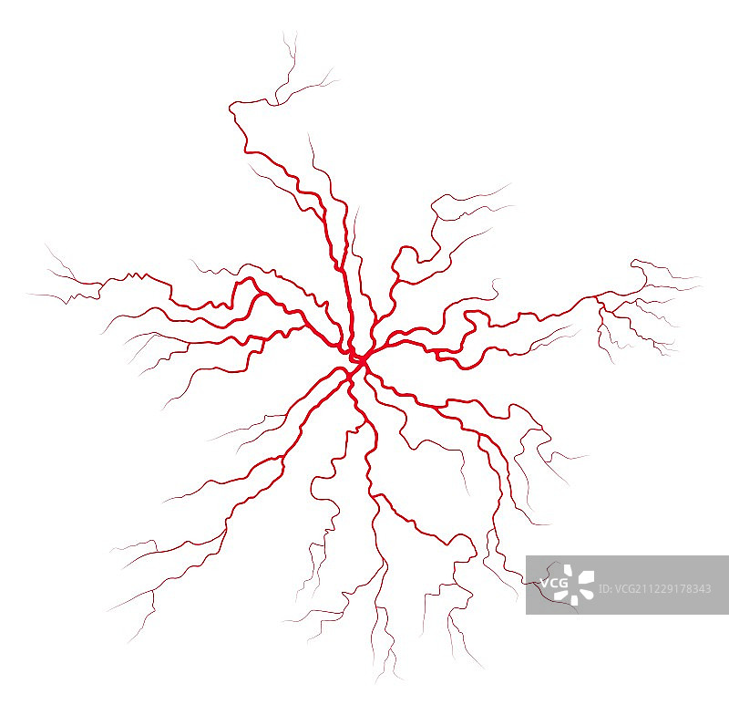 静脉血液系统矢量符号图标设计。美丽illustrat图片素材