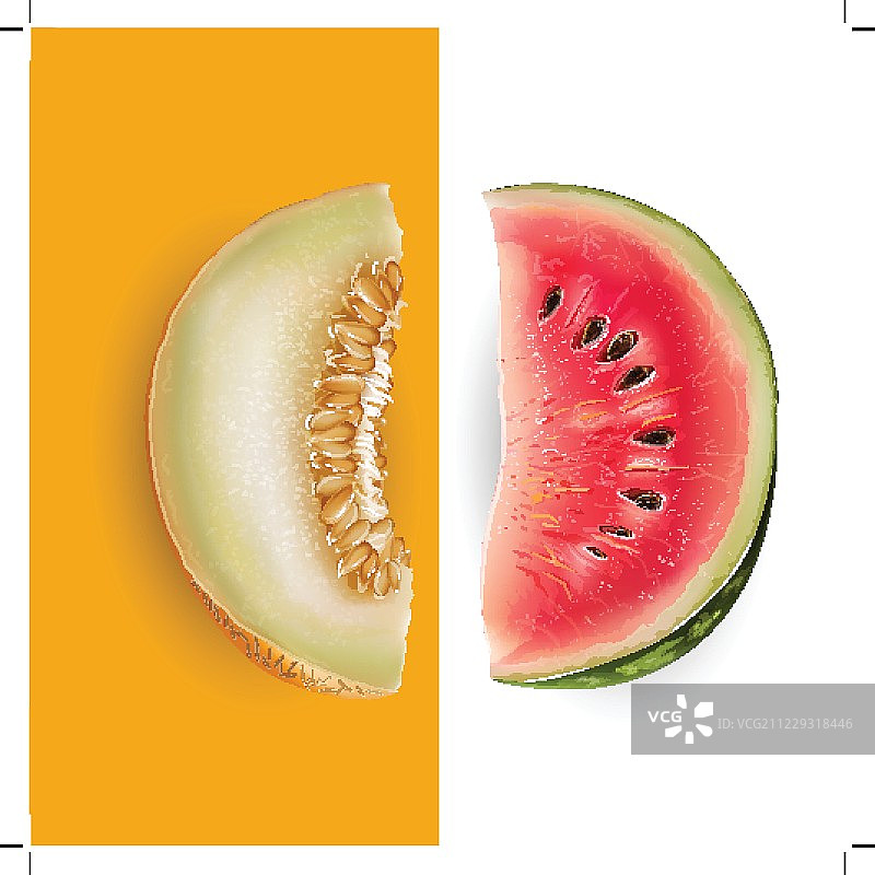 切片甜瓜和西瓜。矢量图图片素材