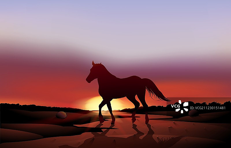 沙漠里骑马的日落图片素材