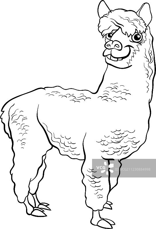羊驼动物漫画着色书图片素材