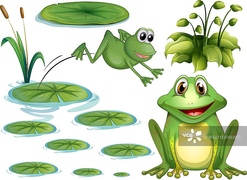 青蛙和树叶图片素材