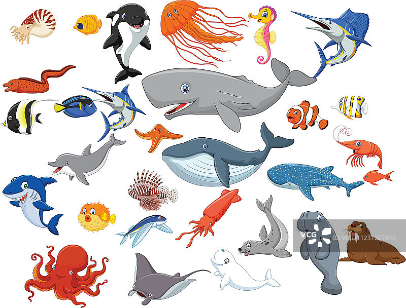 卡通海洋动物孤立在白色背景图片素材
