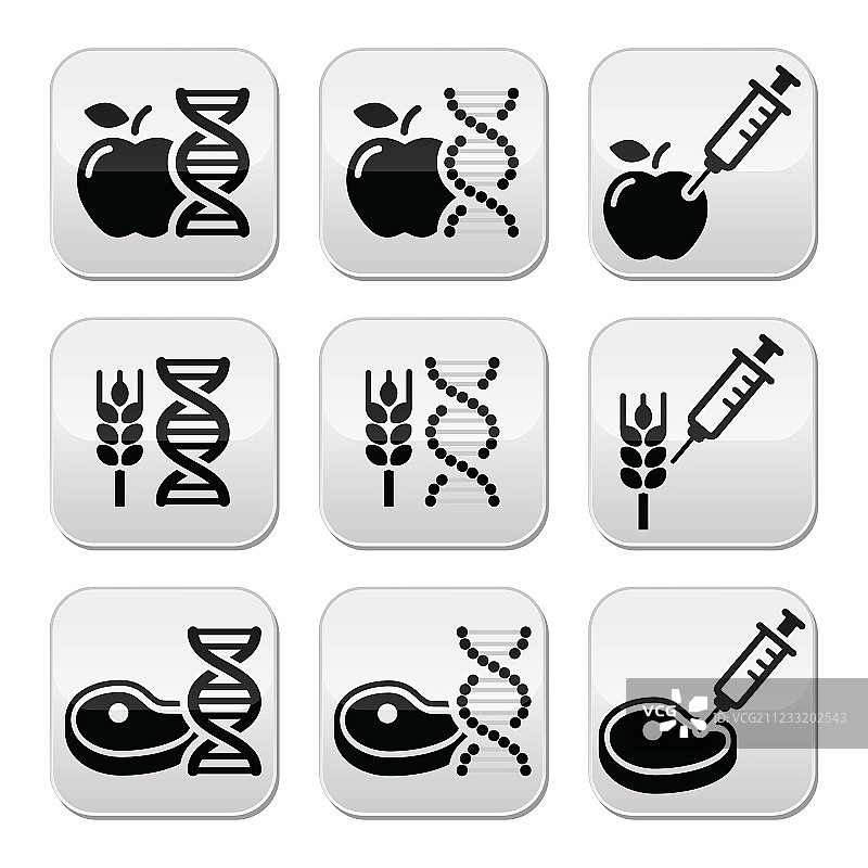 食品DNA转基因食品的图标设置图片素材
