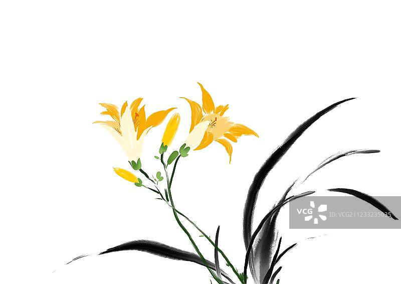 传统水墨画黄色野花图片素材
